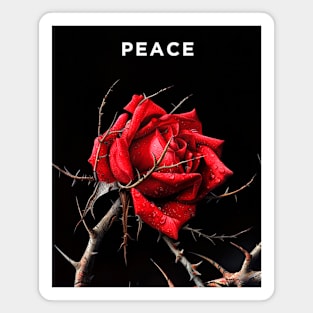 Peace: No More War,  World Peace Now  on a Dark Background Magnet